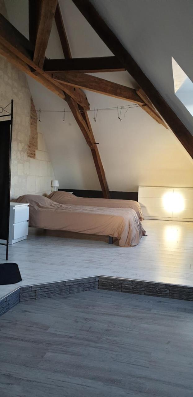 Bourgueil Grand Appartement Proche Cnpe Chinon — Bourgueil — photo 5