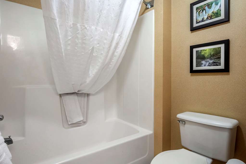 Comfort Inn Meadowlands - photo 17