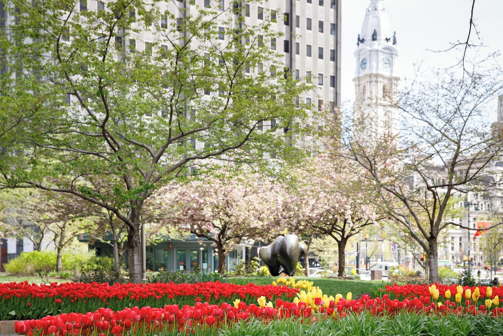 Loews Philadelphia Hotel - photo 54