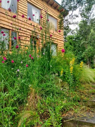Paisaje Nativo in Villa La Angostura, Argentina