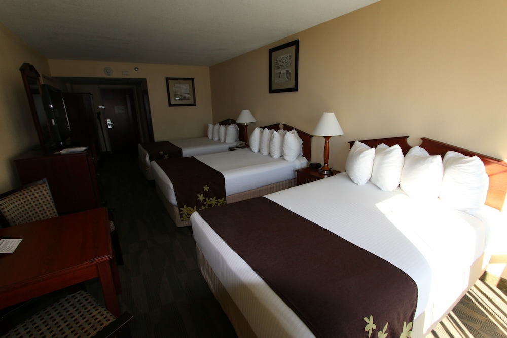 Gold Leaf Hotel of Dewey Rehoboth Beach - photo 10