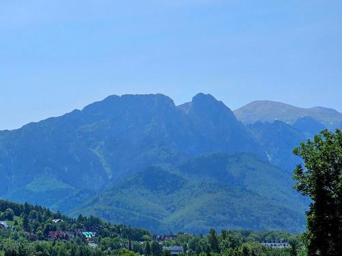 Apartamenty z widokiem & Balia Willa KRÓLE 25A Harenda SKI by RentiloPL — 4-Star Luxury Hotel in Zakopane, Poland