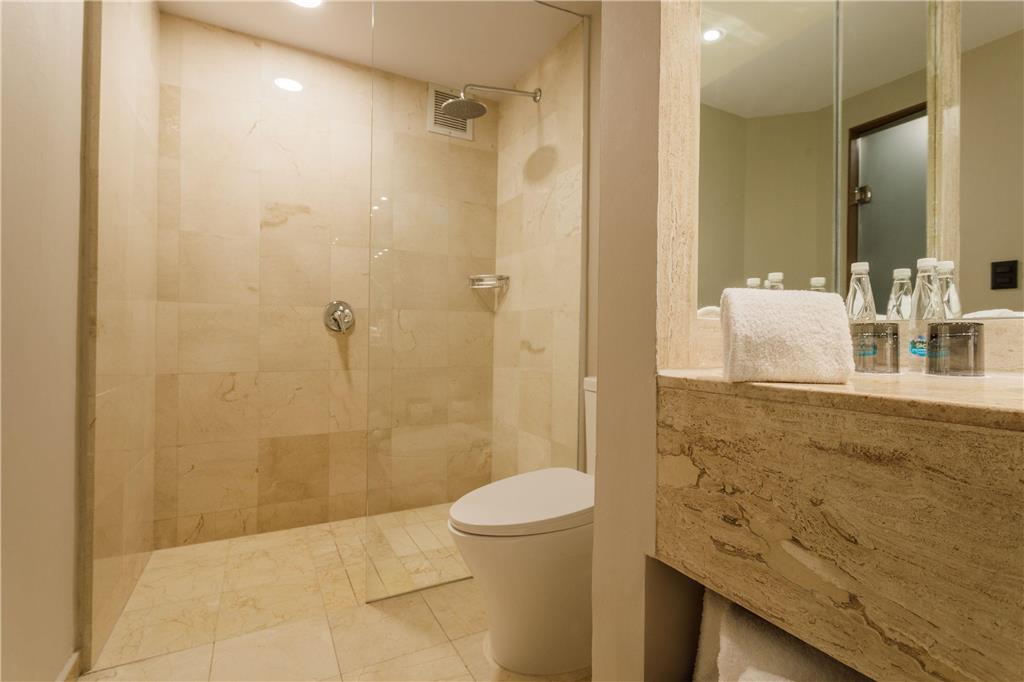 Deluxe and Deluxe Superior bathroom