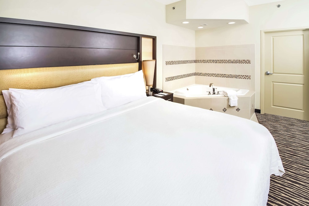 Embassy Suites by Hilton Fayetteville Fort Bragg - photo 15