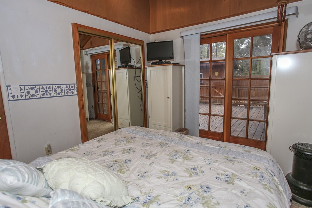 Bearadise - photo 3