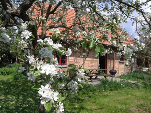 Ferienhaus Apfelhof — Unknown City — photo 2