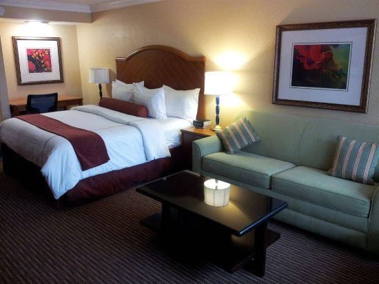 Maingate Kissimmee Hotel - photo 9