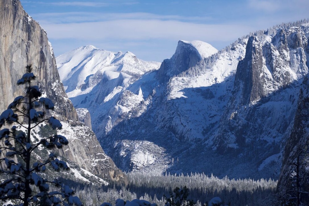 Yosemite Bug Rustic Mountain Resort - photo 91