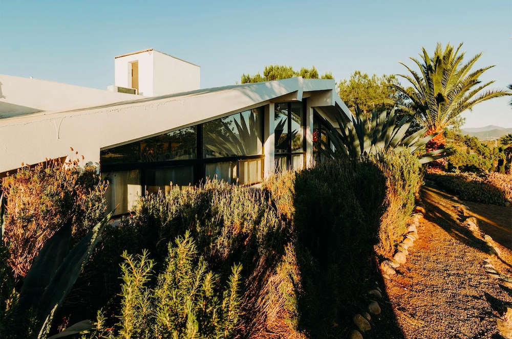 DaNik Valle — Valle De Guadalupe — photo 3