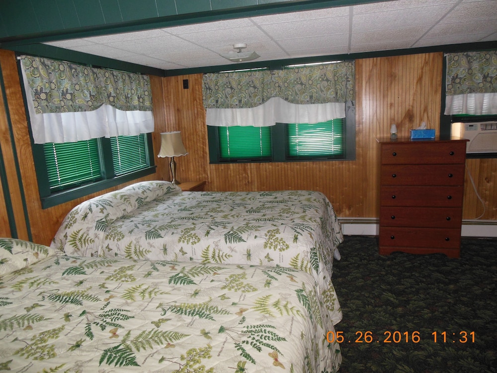The Evergreen Motel - photo 11