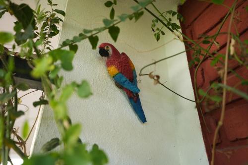 The Oasis Reconnect — Pune — photo 3