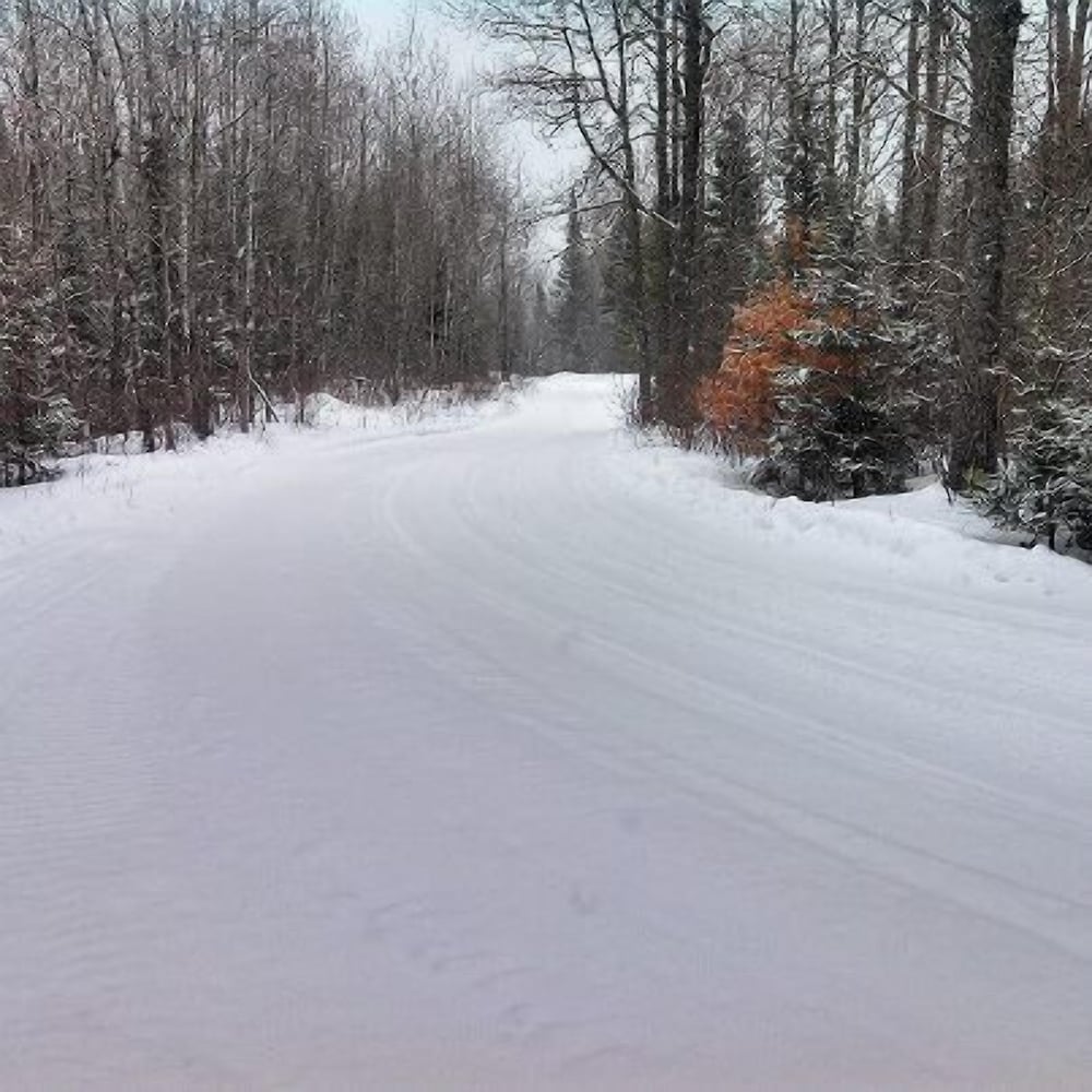 Chicaugon Lake Inn - photo 62