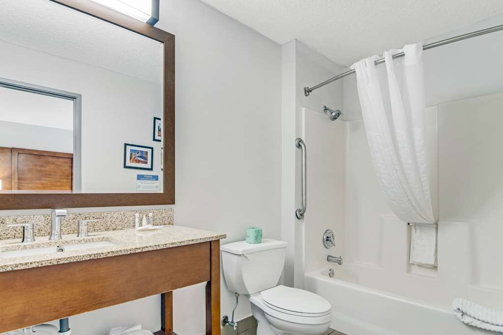 Comfort Suites near I 80 and I 94 - photo 20