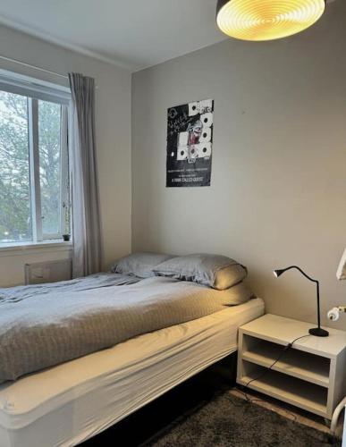 Lovely downtown Reykjavik apartment Great location