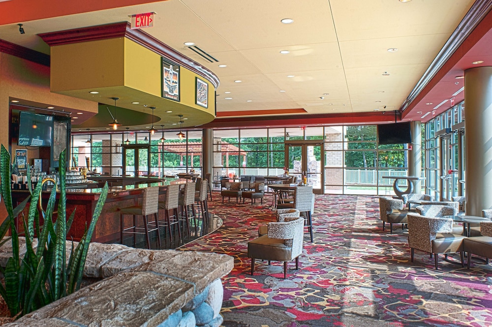 Embassy Suites by Hilton Charlotte Concord Golf Resort & Spa - photo 83