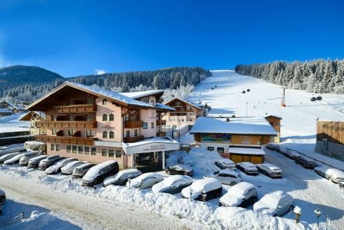 Hotel Vierjahreszeiten — hotel in Flachau