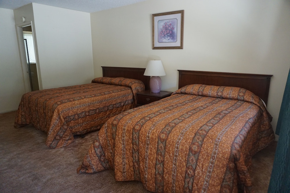 Blue Gum Motel - photo 13