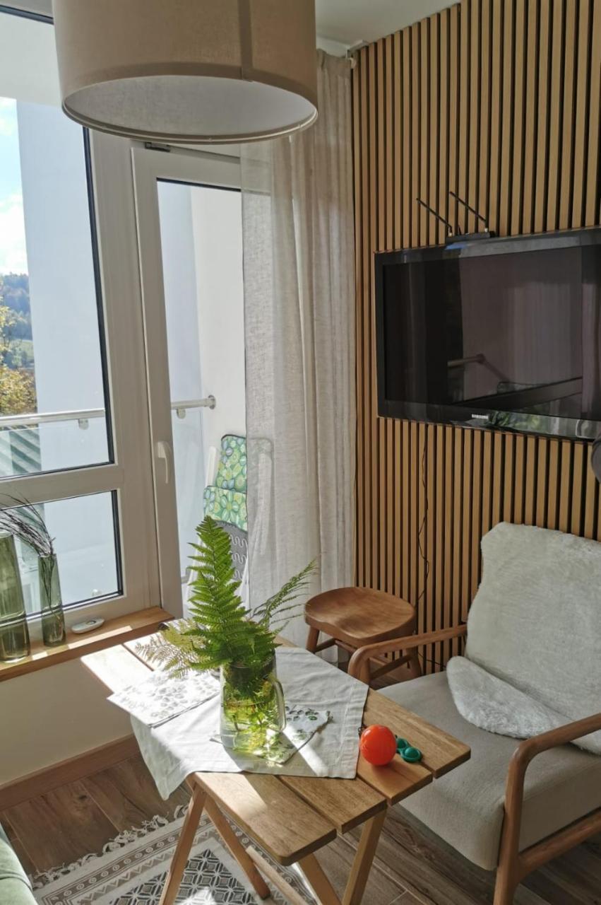 Hearth Hill View Apartment — Ustron — photo 5