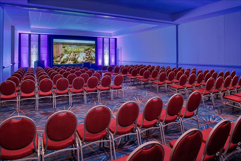 Rosen Shingle Creek - photo 134