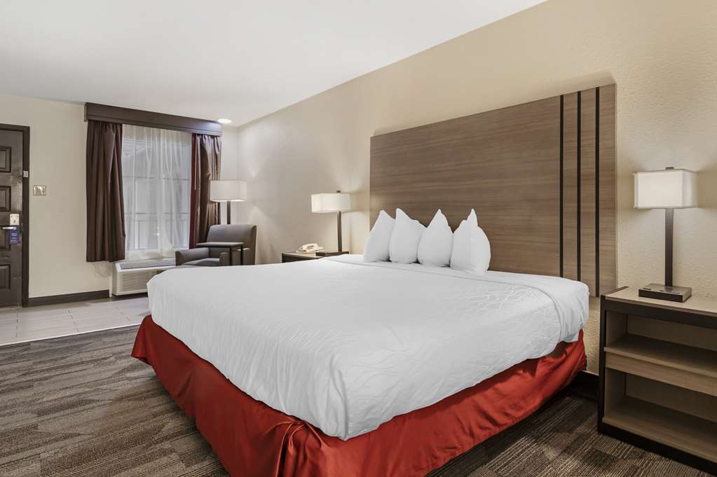 Best Western Of Alexandria Inn & Suites & Conference Center - photo 15