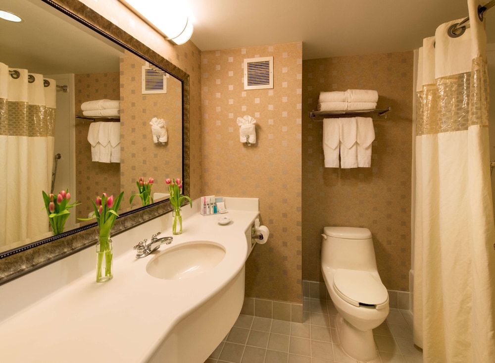 Hampton Inn & Suites Boston Crosstown Center - photo 33