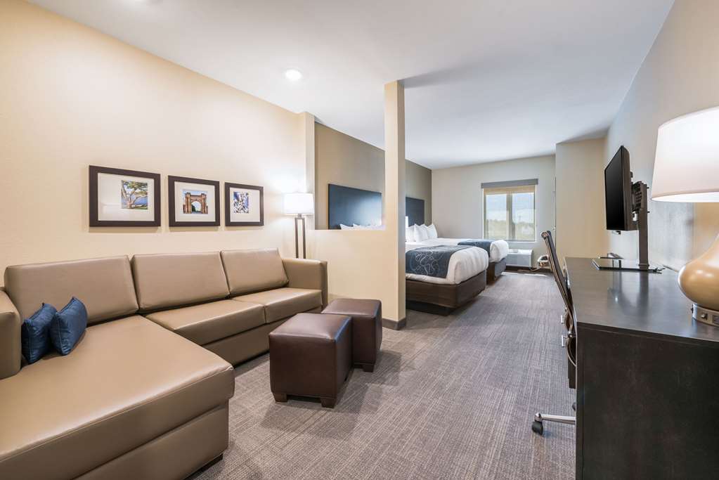 Comfort Suites Marysville Columbus Northwest - photo 38