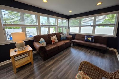 Seagulls Nest in Unknown City, United States