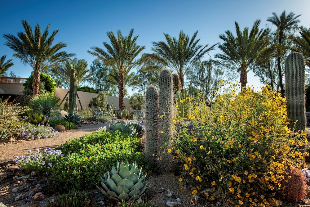 The Scottsdale Resort & Spa Curio Collection by Hilton - photo 67