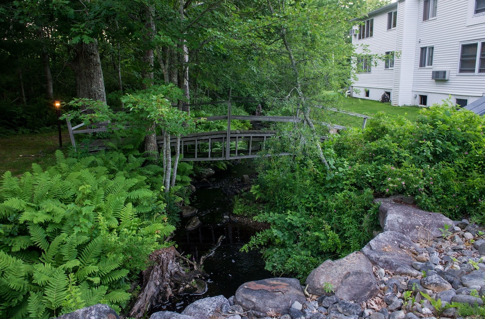 Harkness Brook Inn - photo 20