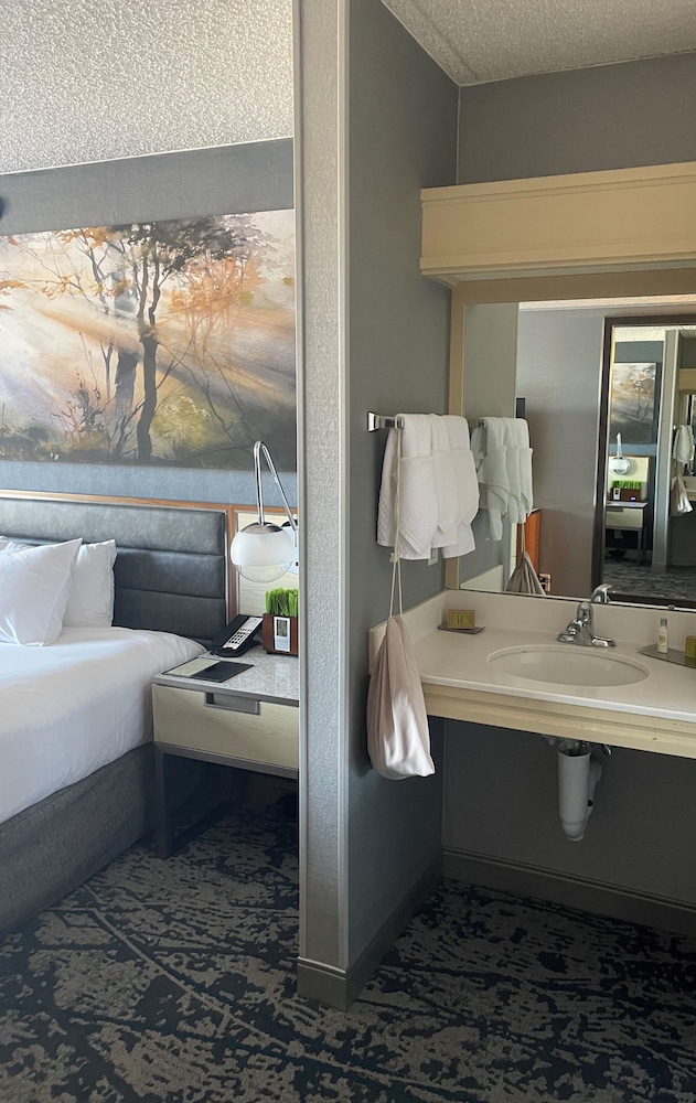 DoubleTree by Hilton Hotel Denver - photo 5