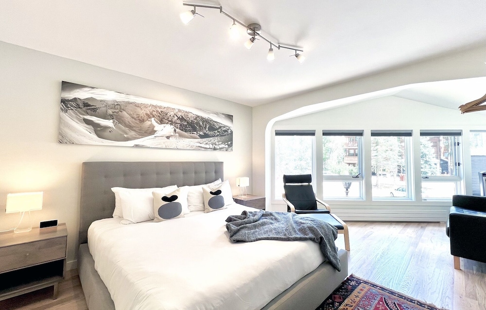 Telluride Ski Resort Co Viking Lodge Condos — Telluride