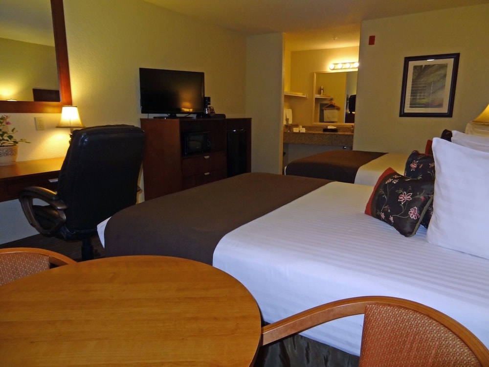 Wintergarden Inn - photo 12