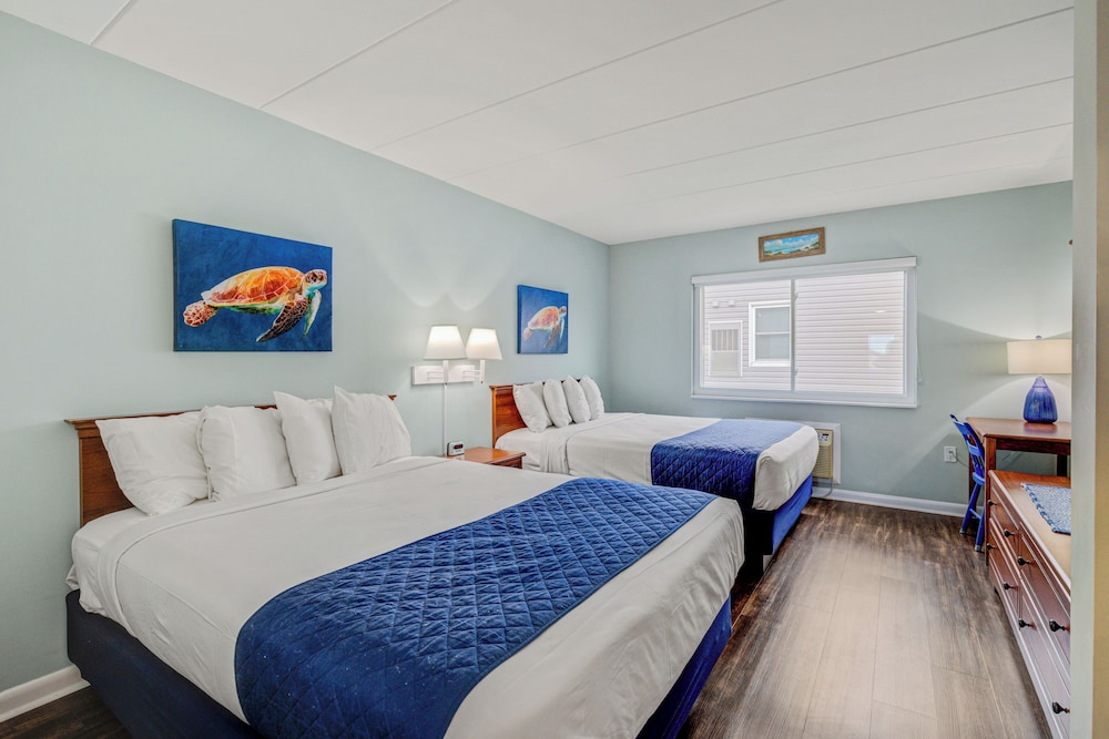 Ocean 7 - photo 40