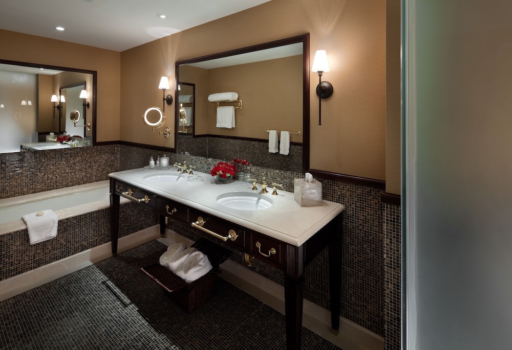 Hotel Plaza Athenee - photo 21
