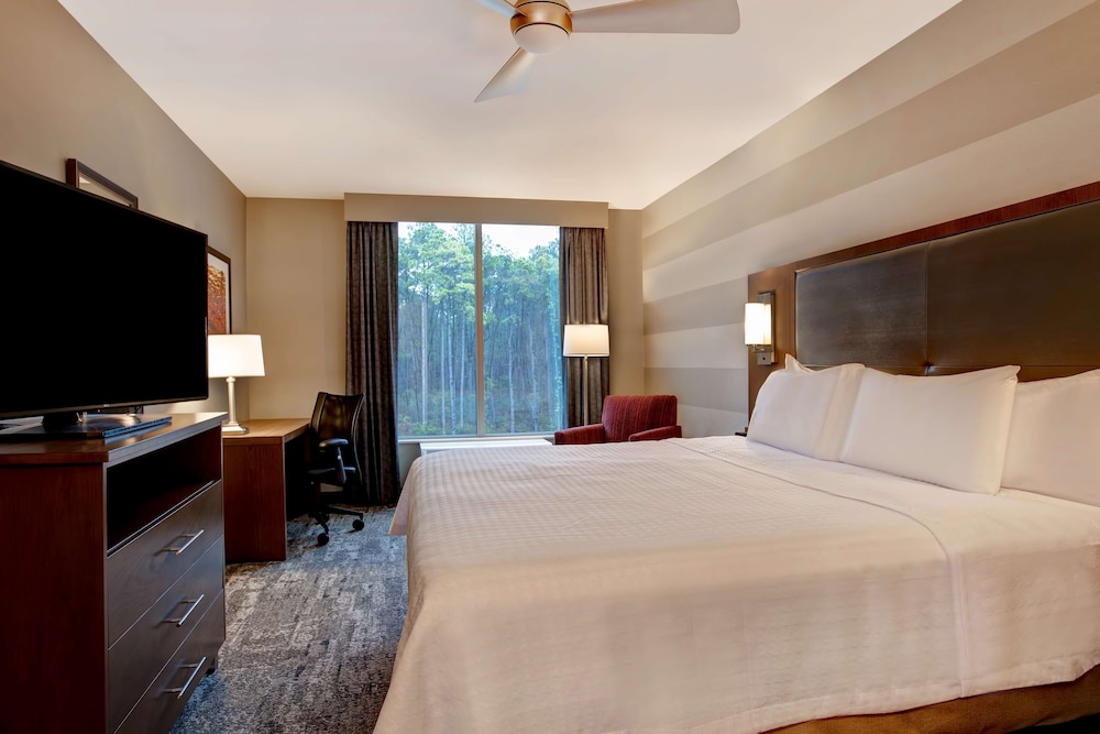 Homewood Suites by Hilton Summerville - photo 13