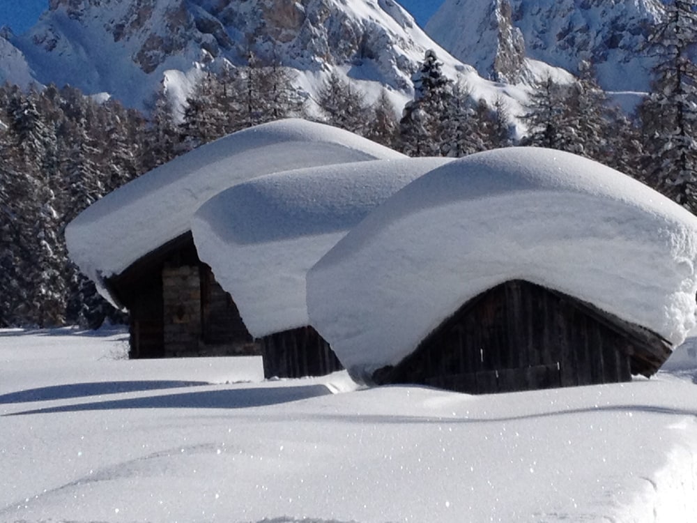 Trettel Apartments — 4-Star Luxury Hotel in Tesero, Italy