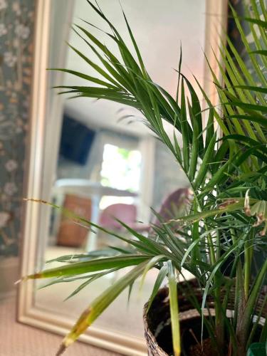 Buttonwood Boutique Hotel - photo 58