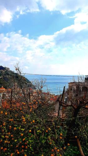 Il Limoneto di Lulu Holidays Among the Lemon Trees — Minori — photo 3