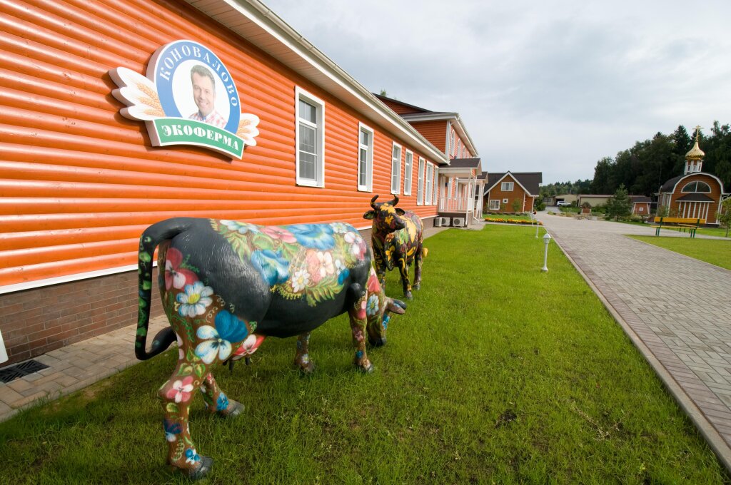 Konovalovo Eсo Hotel — hotel in Shakhovskaya