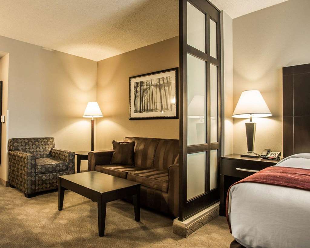 Comfort Suites Huntersville near Lake Norman - photo 11
