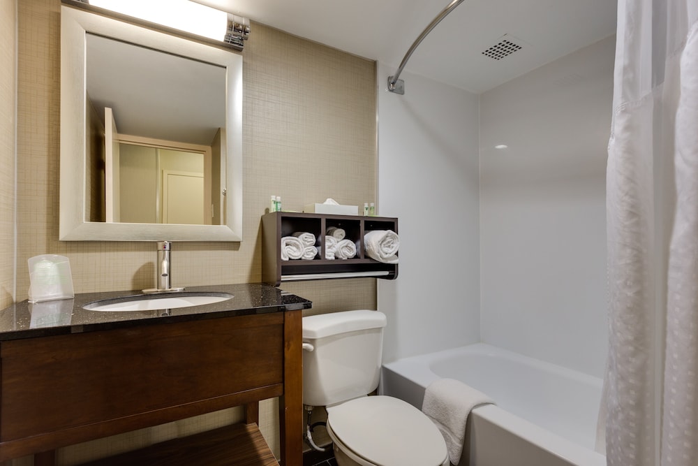 Holiday Inn Express Washington DC SW Springfield - photo 9