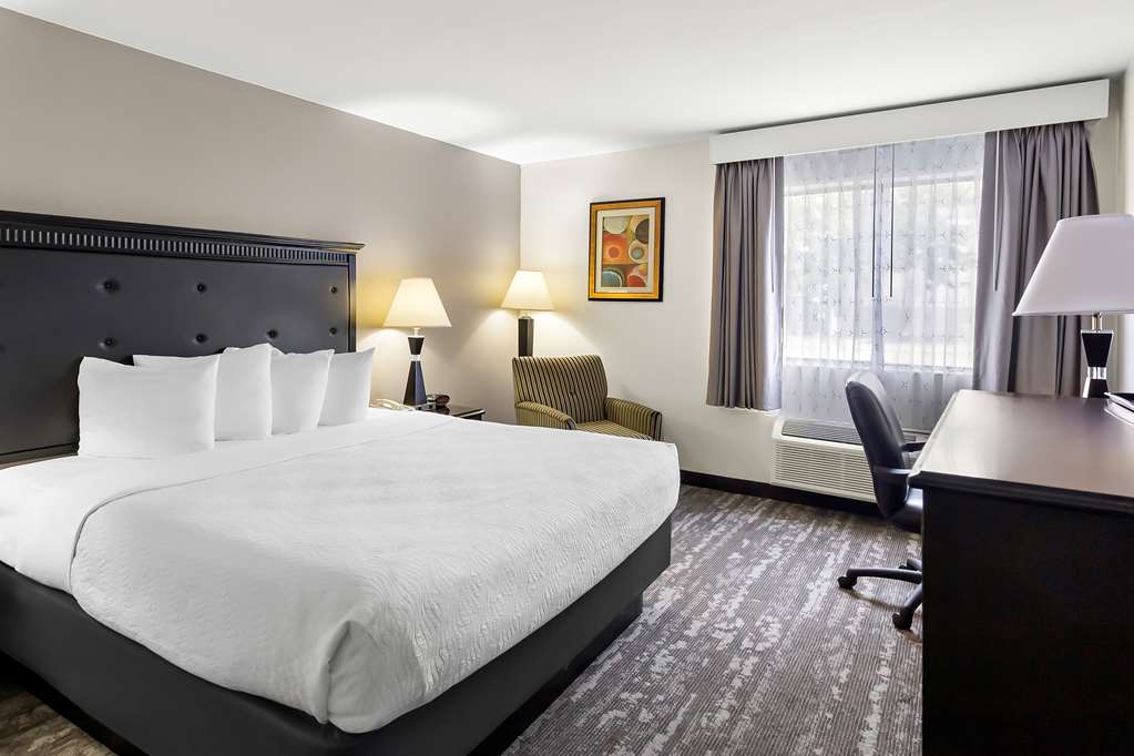 Best Western Saluki Inn - featured photo