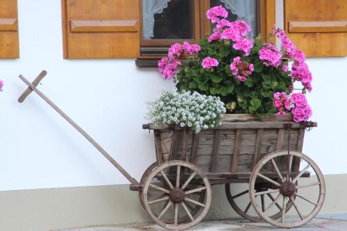 Ferienhof Zum Sagschneider — Lenggries — photo 4