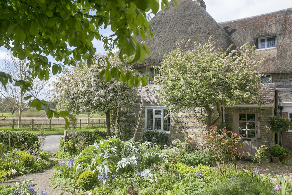 Tudor Cottage Bed & Breakfast Dorchester — 4-Star Luxury Hotel in Dorchester, United Kingdom