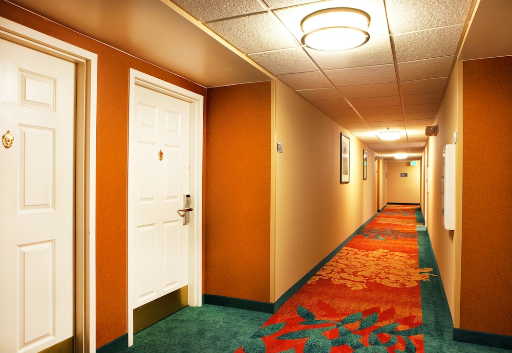 Residence Inn Greenbelt by Marriott - photo 5