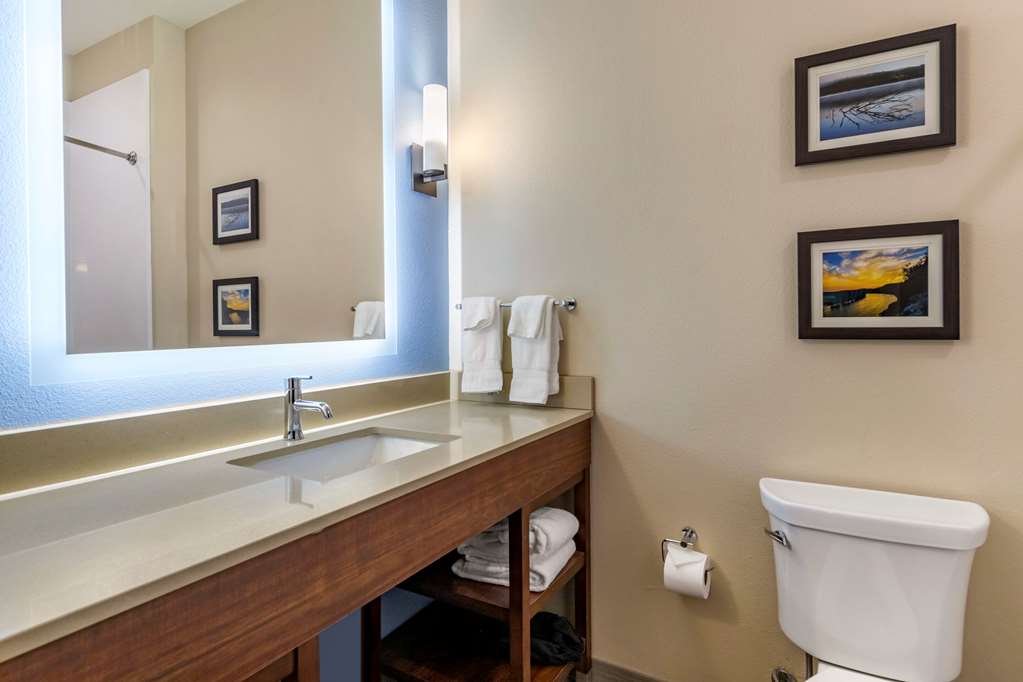 Comfort Suites Cedar Park Austin Northwest - photo 27
