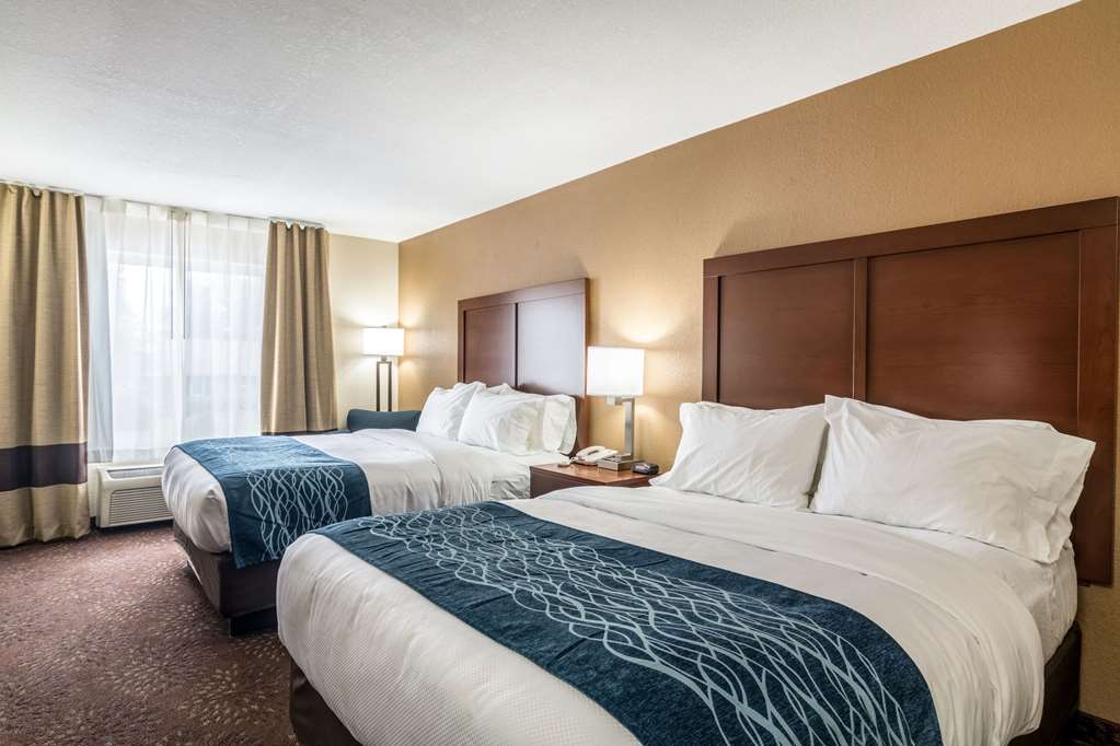 Comfort Inn & Suites Hannibal - photo 14