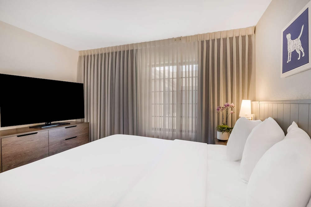 Sonesta ES Suites Denver South Park Meadows - photo 30