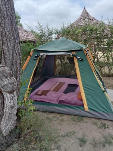 At the CaraVanserai in Kilifi, Kenya
