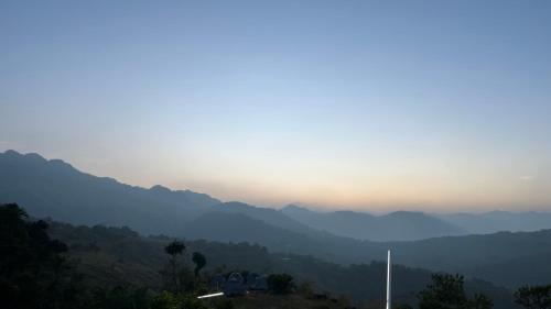 Wild Jacket - carbon neutral hotel in Unknown City